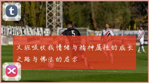 文班吸收我情绪与精神属性的成长之路与佛法的启示